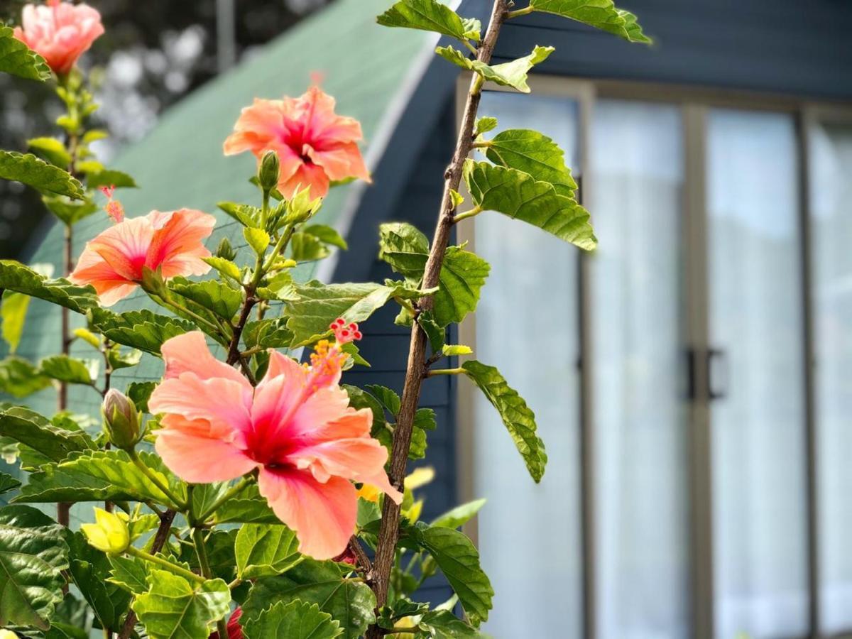 Rangi Moana Villa Hanga Roa Eksteriør billede